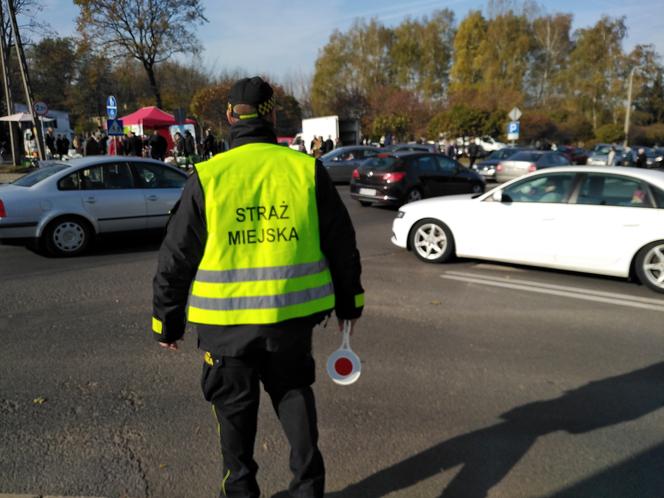 Wszystkich Świętych 2020: Zmiana organizacji ruchu! Jak dojechać w pobliże cmentarza w Bełchatowie