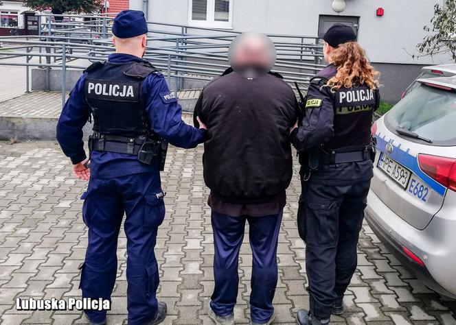 Zabójca kota w rękach policjantów