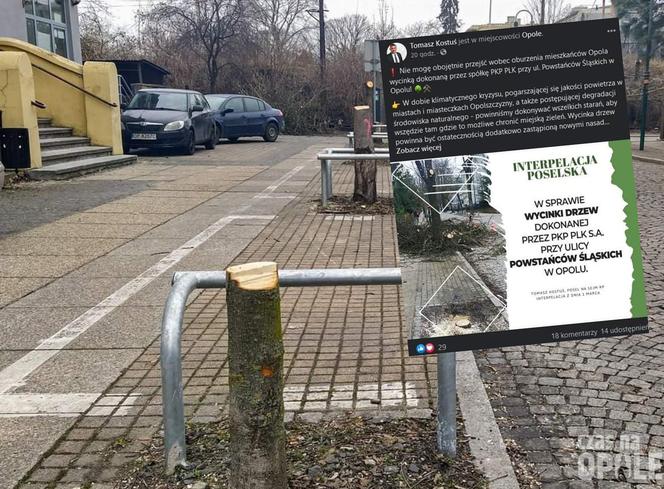 Opole. Afera z PKP po wycince drzew! Poseł zapowiada interpelację