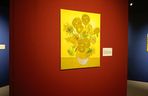 Wystawa VAN GOGH – The Immersive Exhibition w Szczecinie