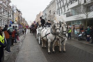 Wielka Szarża w centrum Łodzi. Oddziały konne przeszły przez Piotrkowską