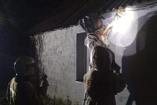 Zagrożenie zlikwidowane! Strażacy z Nowego Duninowa usunęli gniazdo szerszeni