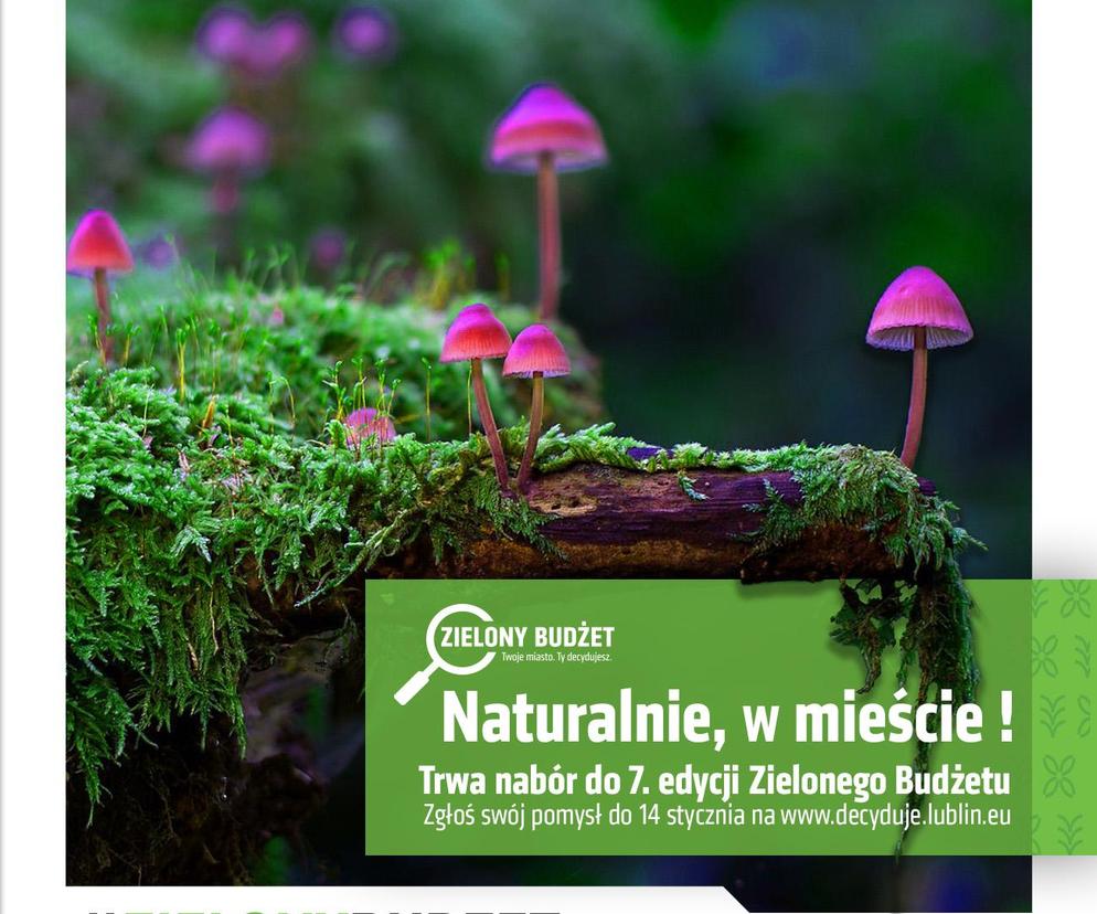 Naturalnie w mieście - Zielony Budżet Lublina