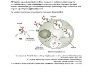 Matura 2025 z biologii – ARKUSZ Formuła 2023