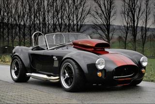 Weineck Cobra