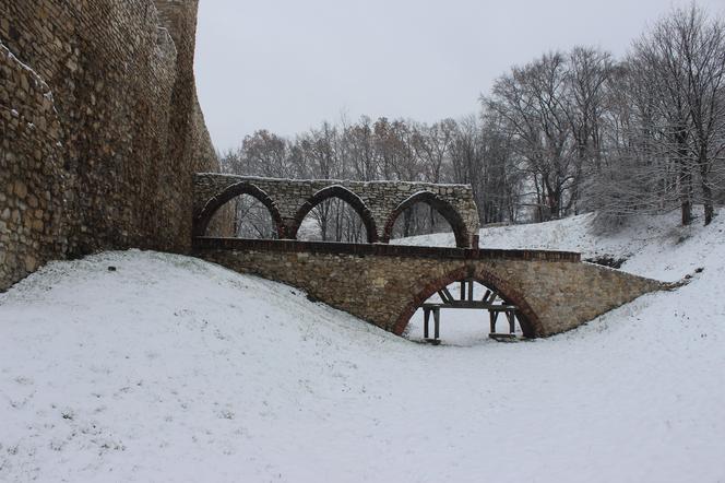 Zamek w Będzinie 