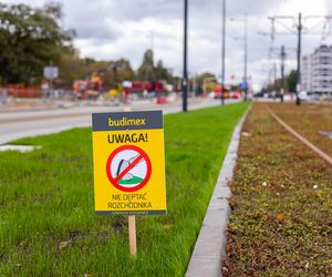 Budowa tramwaju do Wilanowa na kilka tygodni przed otwarciem