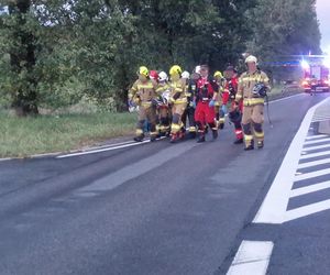 Przytoczna. Śmiertelny wypadek na DK 24. 49-latek nie żyje [ZDJĘCIA].