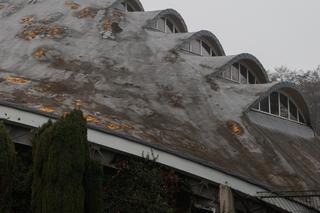 Hala Kapelusz w Parku Śląskim powstała w innowacyjnej technologii. Zobacz zdjęcia wyjątkowego budynku