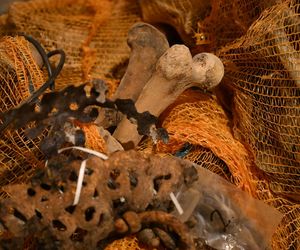 Mumia szlachcica odkryta w Komorowie