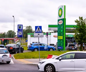 Wypowiedzenie OC – wzór, terminy, zasady