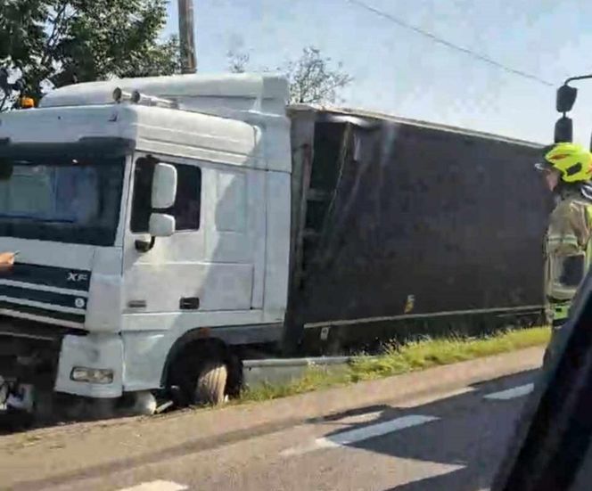  Kierowcę ciężarówki użądliła pszczoła, uderzył w przepust.