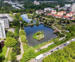 Sportowe emocje w Chorzowie. 150 biegaczy wystartowało w 6. edycji Chorzowskiej Dychy