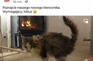 Skandal w Nasz Nowy Dom. Zrobili z CHOREGO kota maskotkę show