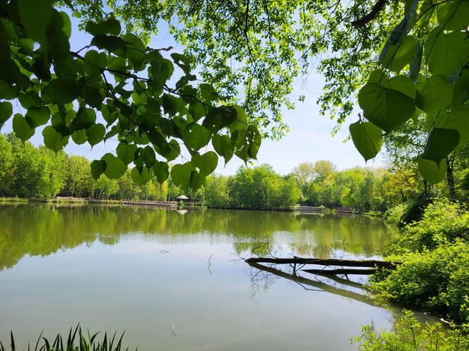 Kraków - Park Tetmajera