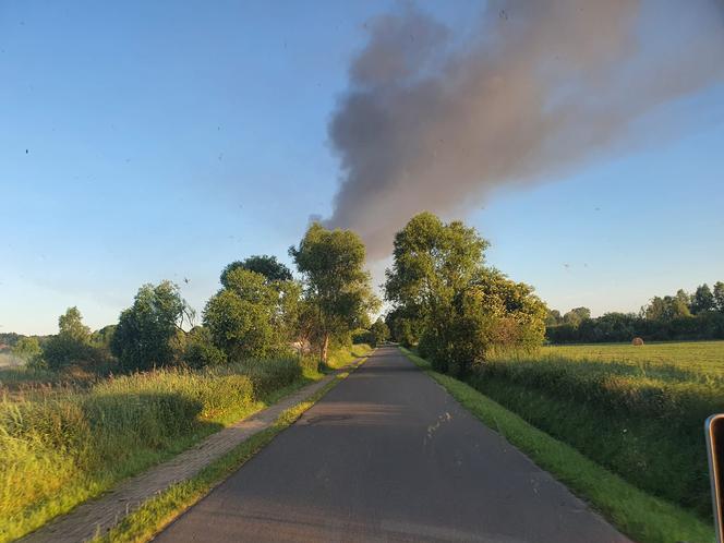 Pod Szczecinem spłonął niemiecki autobus