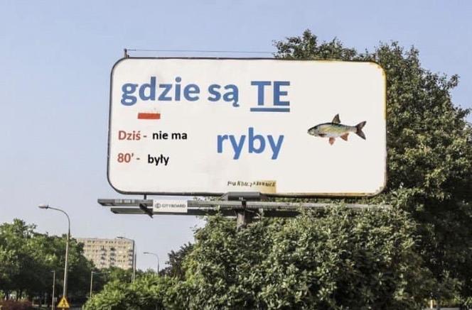 Zatruta Odra. Internauci komentują reakcje rządu [MEMY] 