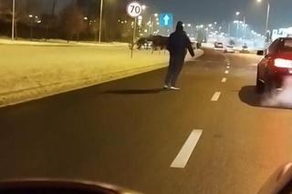 Łosie w środku Białegostoku. Biegały przy Auchan. Doszło do zderzenia