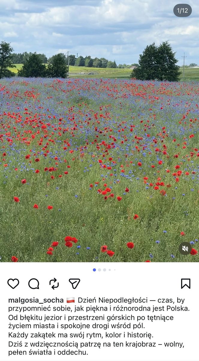 Patriotyczne wpisy gwiazd! Tak 11 listopada uczcili polską wolność