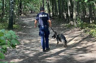 Atak nożownika w Parku Bródnowskim