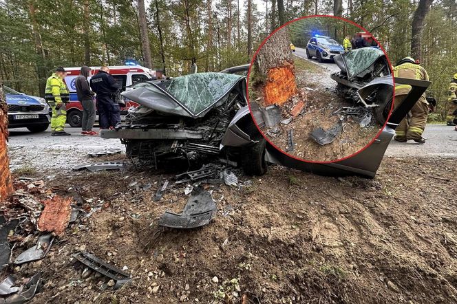 Kierowca uderzył oplem w drzewo, nie przeżył. Policja szuka sprawcy