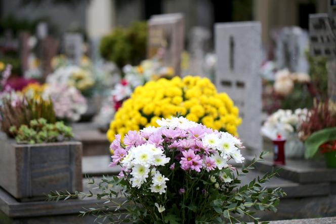 Jak zabezpieczyć grób przed cmentarnymi hienami? Pomocne może być ubezpieczenie