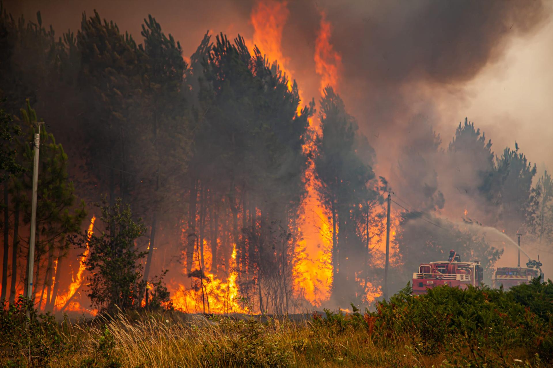 После сильного пожара. Лесные пожары во Франции 2022. Горящий лес. Сильный пожар в лесу. Пожар в Испании.