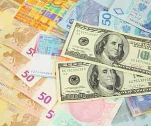 Złoty stabilny względem euro i dolara