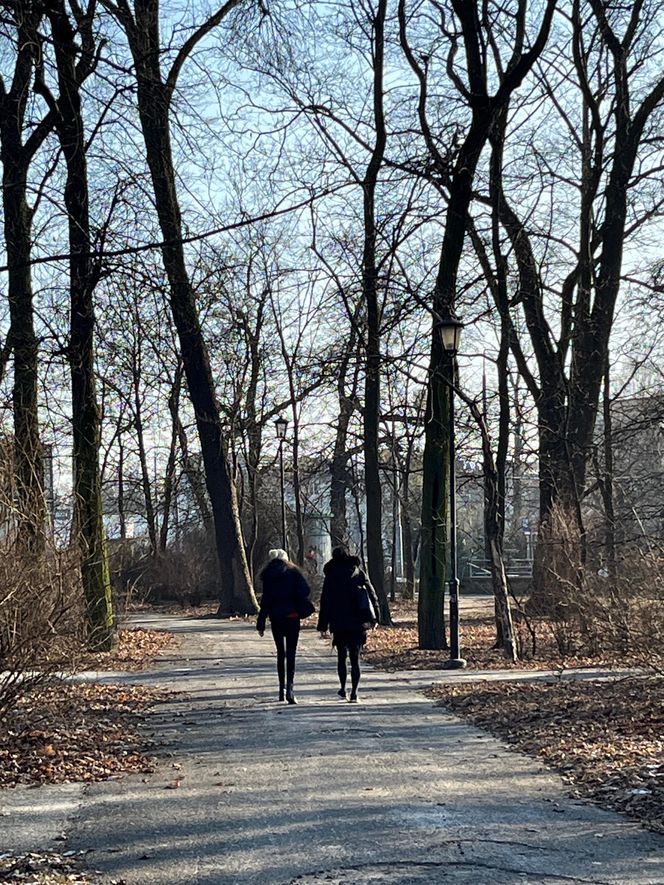 Zabytkowy Park Bronowicki w Lublinie czeka gruntowna rewitalizacja. Koszt? 8 milionów złotych