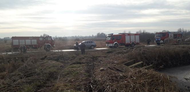Lipno: Sarna była o krok od ŚMIERCI w mule! Uratowali ją strażacy