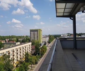 Odwiedziliśmy Letnią Czytelnię Książnicy Podlaskiej. Piękny widok na panoramę Białegostoku [ZDJĘCIA]