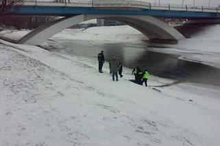 Są wyniki sekcji zwłok Mateusza Szylaka. Co ustalono?