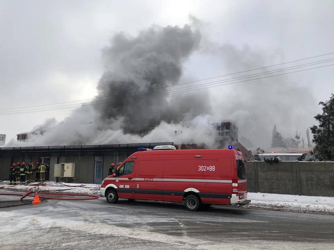 Pożar na Bałutach! Płonie hala, w której składują podpałkę do grilla. Kilkanaście zastępów straży w akcji! [ZDJĘCIA]