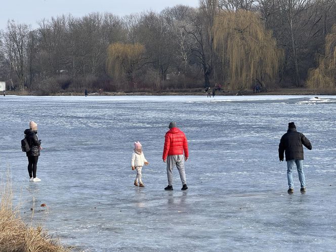 Skrajna nieodpowiedzialność. Spacerują po płytkim lodzie z dziećmi i psami. Dramat na Pradze-Południe w Warszawie