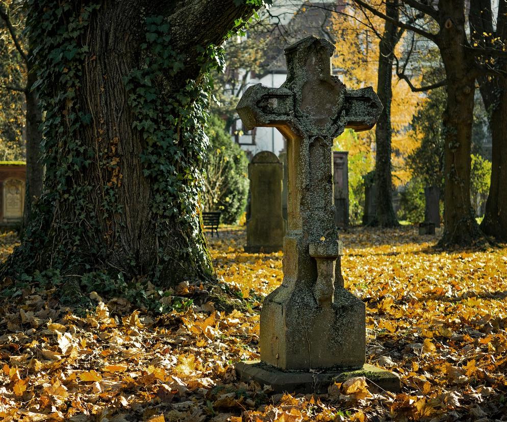 Kalisz: fotopułapką w cmentarnych wandali 