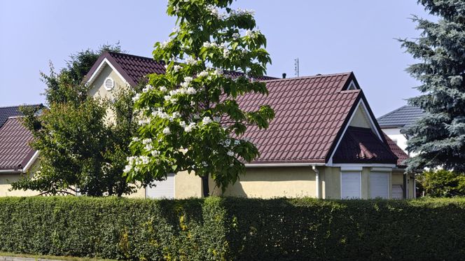 Amerykańska ulica we Wrocławiu istnieje naprawdę. Tak wygląda Tunelowa