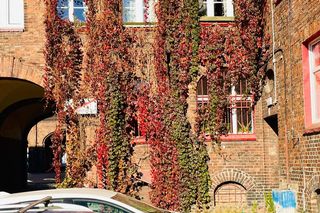 Czerwone okna w familokach