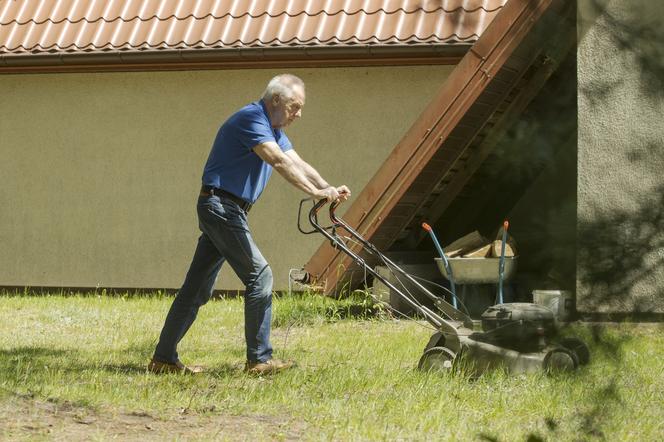 Tak mieszka Stefan Niesiołowski na działce