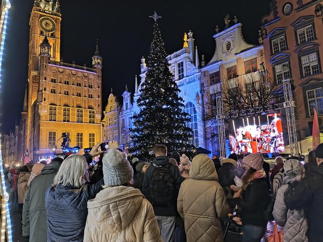 Gdańska choinka rozbłysła. Zobaczcie nasze zdjęcia!