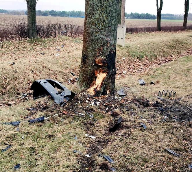 Tragedia pod Cybinką. Nie żyje pracownik Poczty Polskiej. Zginął na miejscu po uderzeniu w drzewo