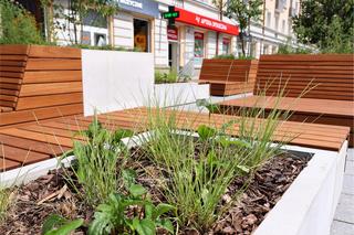 Kilka zielonych krzaczków wśród betonu. Nowa strefa relaksu podzieliła mieszkańców Białegostoku [ZDJĘCIA]