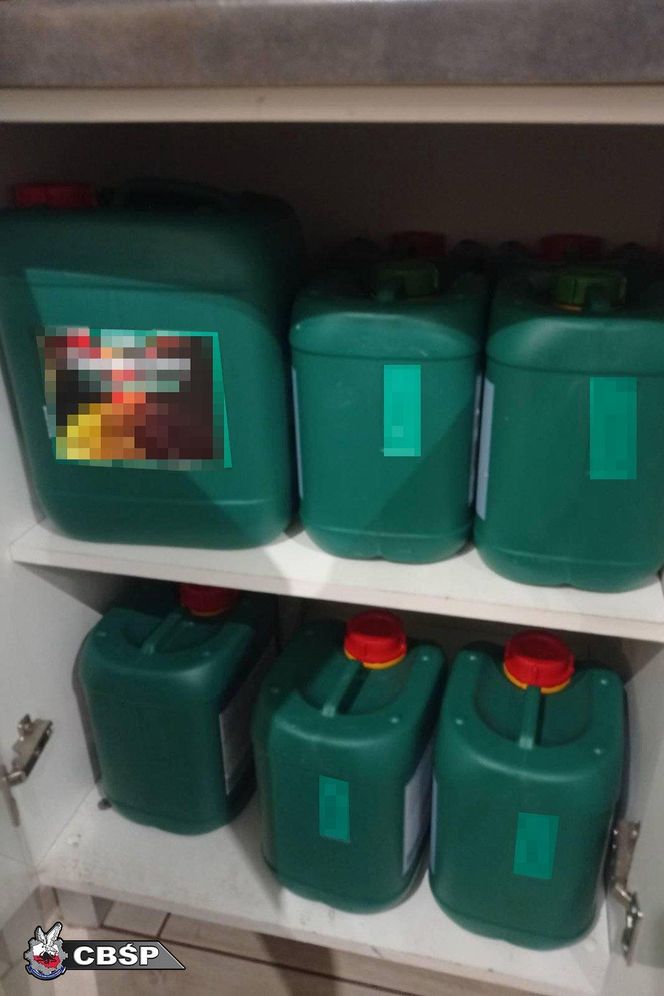 Akcja CBŚP w dwóch województwach. Zdjęcia z działań służb