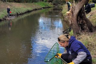 Nutrie w Rybniku są już odławiane