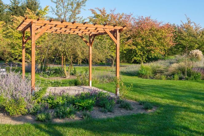 Pergola w ogrodzie