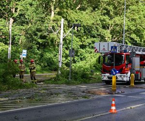 Usuwanie skutków burzy jaka przeszła nad Szczecinem