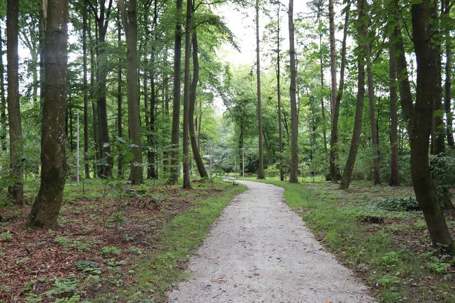 Zabytkowy park pod Lubawą zmienił się nie do poznania. Teraz wygląda jak z bajki