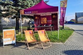 Alior kino na leżakach