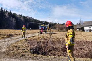 Stara Wieś. Tragedia podczas wycinki drzew. Konar przygniótł mężczyznę. Poszkodowany nie żyje