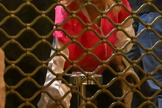  Dancing with the Stars. Taniec z gwiazdami. Impreza po finałowym odcinku