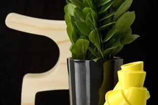 Zamiokulkas zamiolistny 